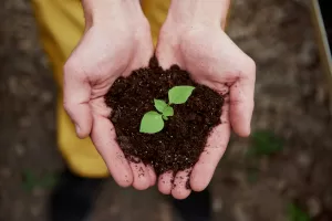Post traumatic growth
